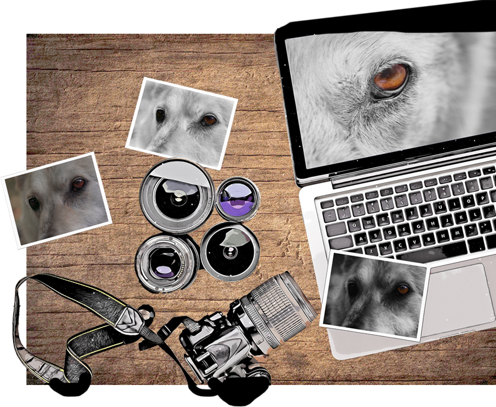 Computer mit Spiegelreflexkamera